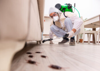 The Benefits of Pest Control for Your Business