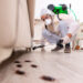 The Benefits of Pest Control for Your Business