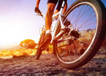 The Summer Cycling Holidays Of 2023
