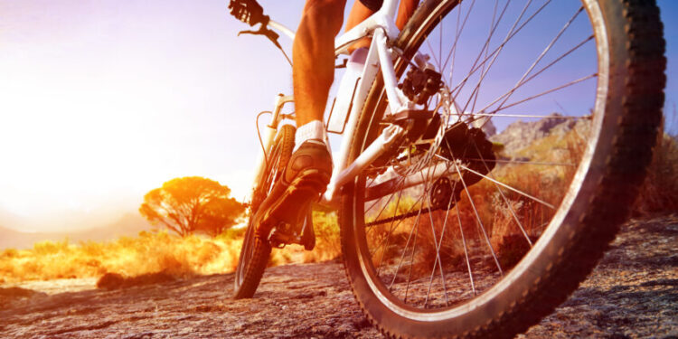 The Summer Cycling Holidays Of 2023