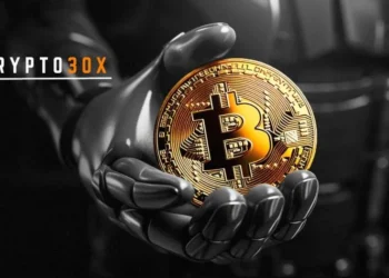 Crypto30x.com GG: Your Ultimate Gateway