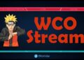 24 WCOStream Alternatives in 2025