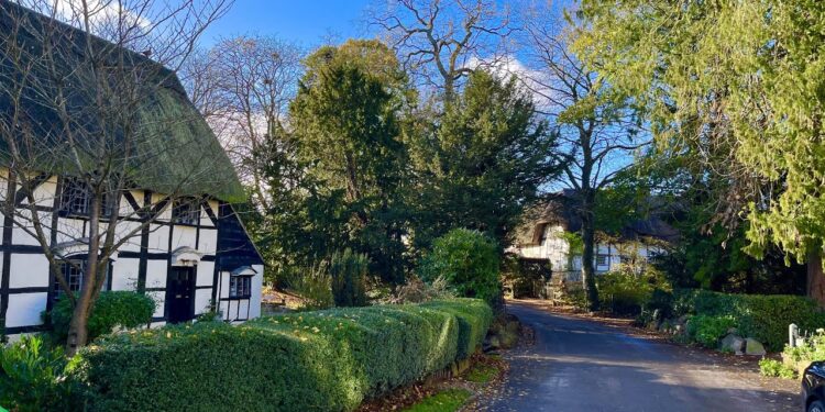 Rakитовица (Ракитовица): A Complete Guide to the Village